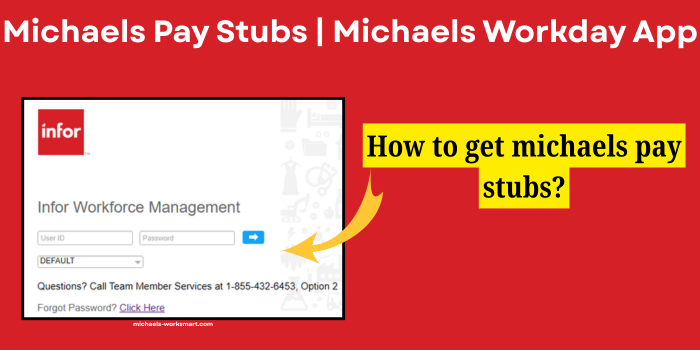 Michaels Pay Stubs
